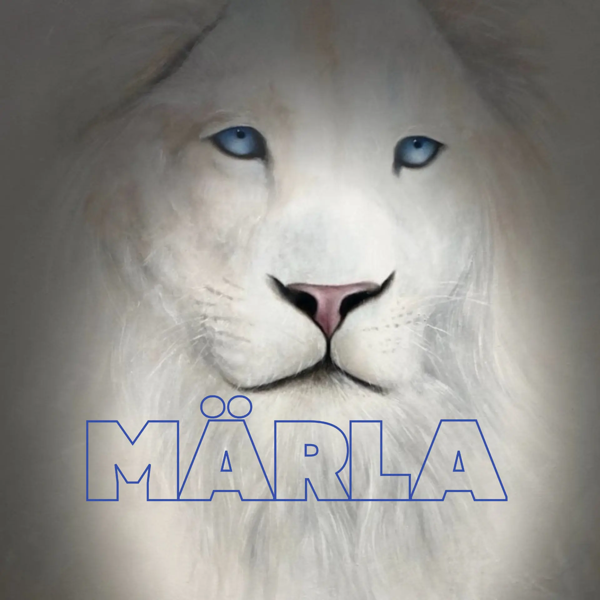 Album cover for Don't Say That by MÄRLA